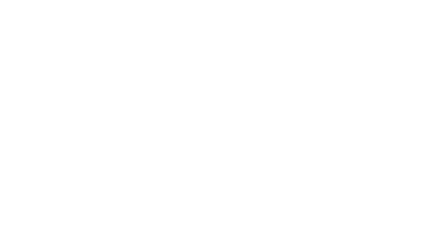 Management Institute of Latin America